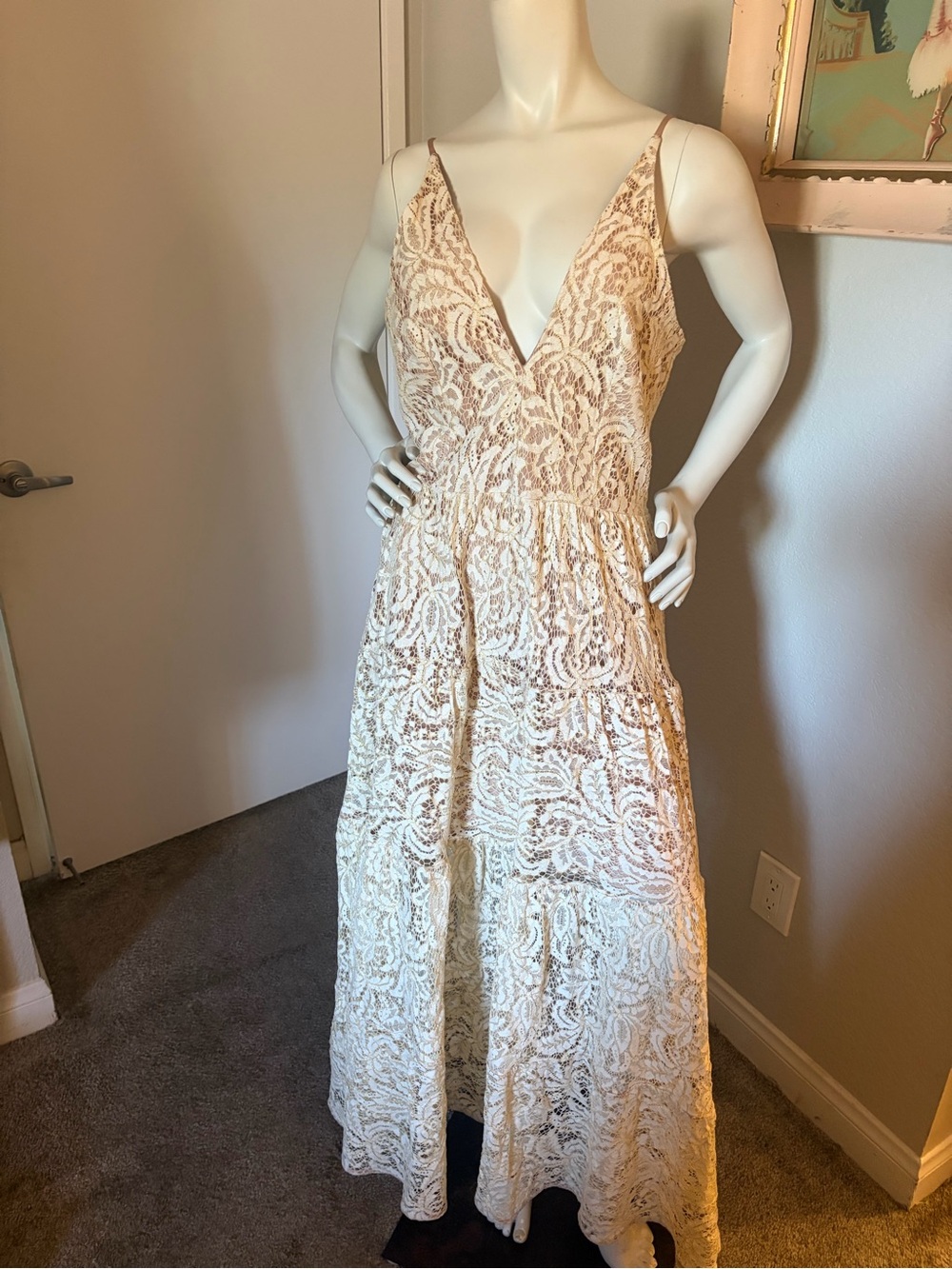 ✨ Dress the Population Lace Maxi Dress